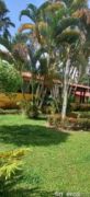 Rancho Luna - Finca en Guamal, Meta